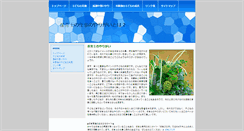 Desktop Screenshot of originalconeyisland.com